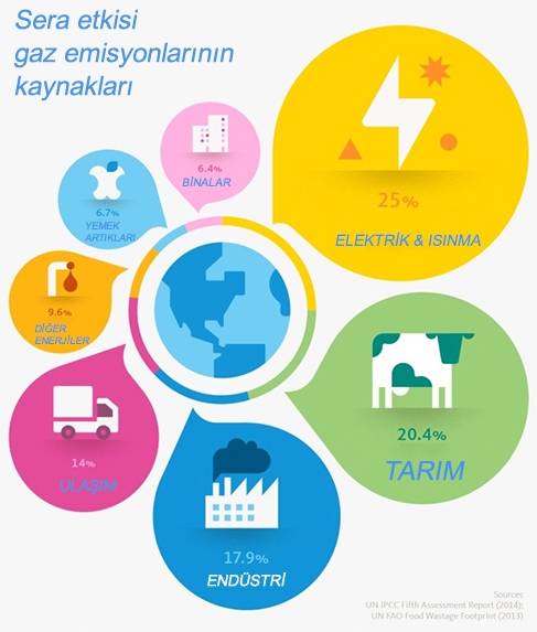 Sera etkisi ve gaz emisyon kaynakları görseli